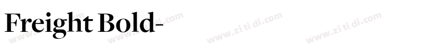 Freight Bold字体转换